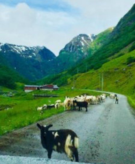 viagem-noruega-undredal rd