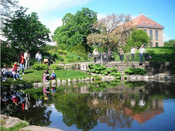 roteiro de viagem com crianças -Como o Jardim Botânico de Oslo!