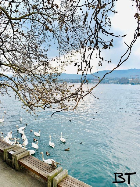 zurique 01 redimensionada