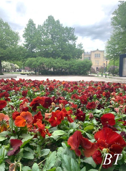 primavera em oslo