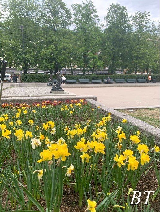 primavera em oslo